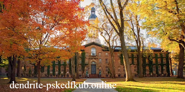 Keunggulan Akademik Kampus Princeton University