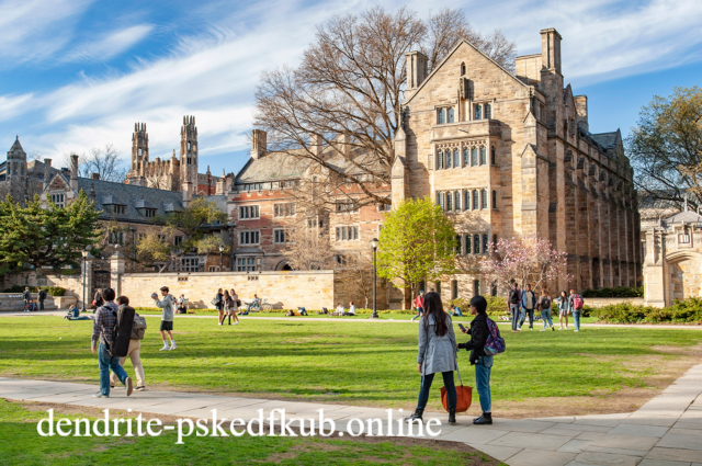 Mengenal Yale University Amerika Serikat